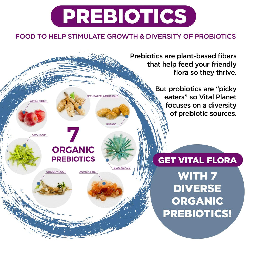 Organic prebiotic blend supporting probiotic nourishment.