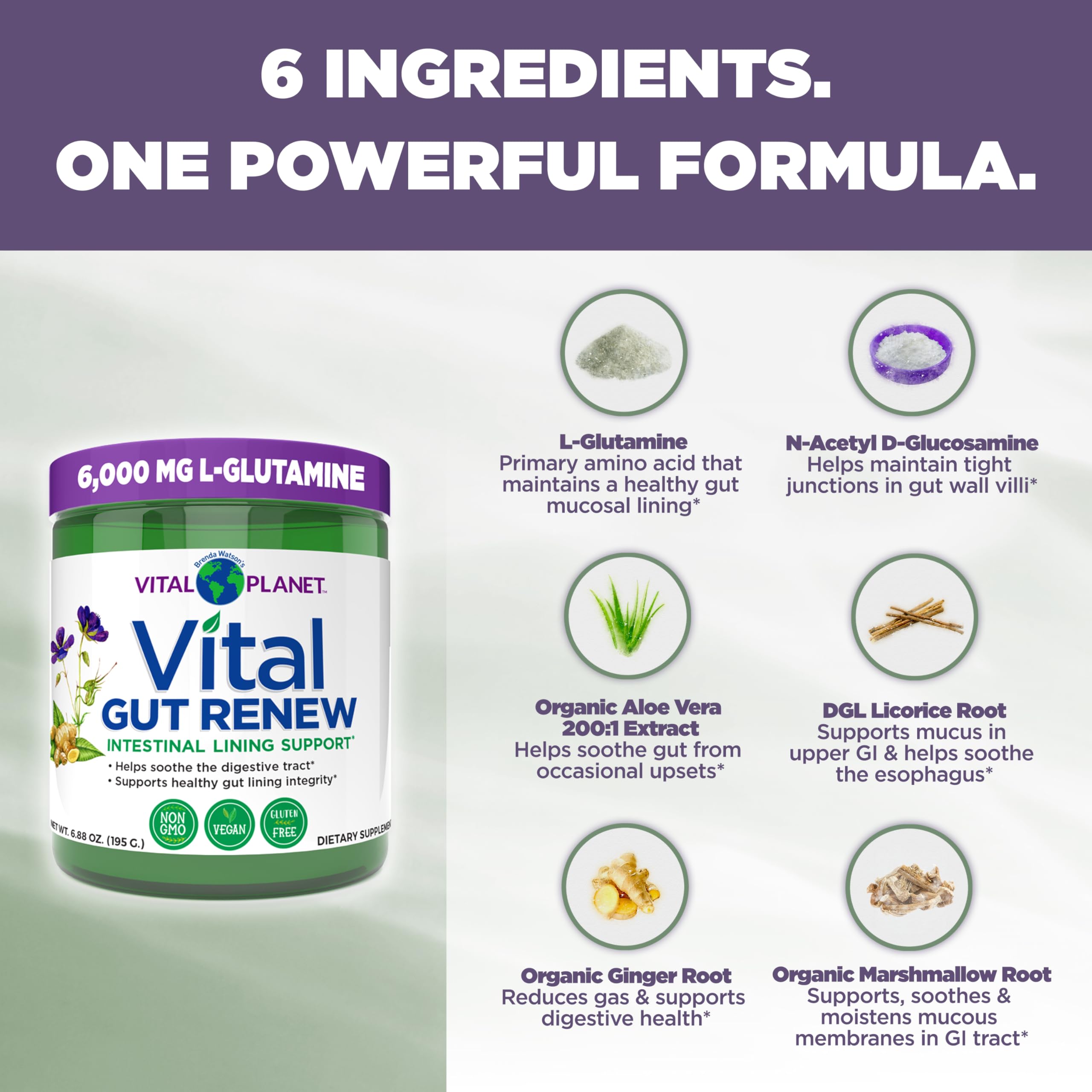 Close-up of Vital Gut Renew organic ingredients and blend highlights