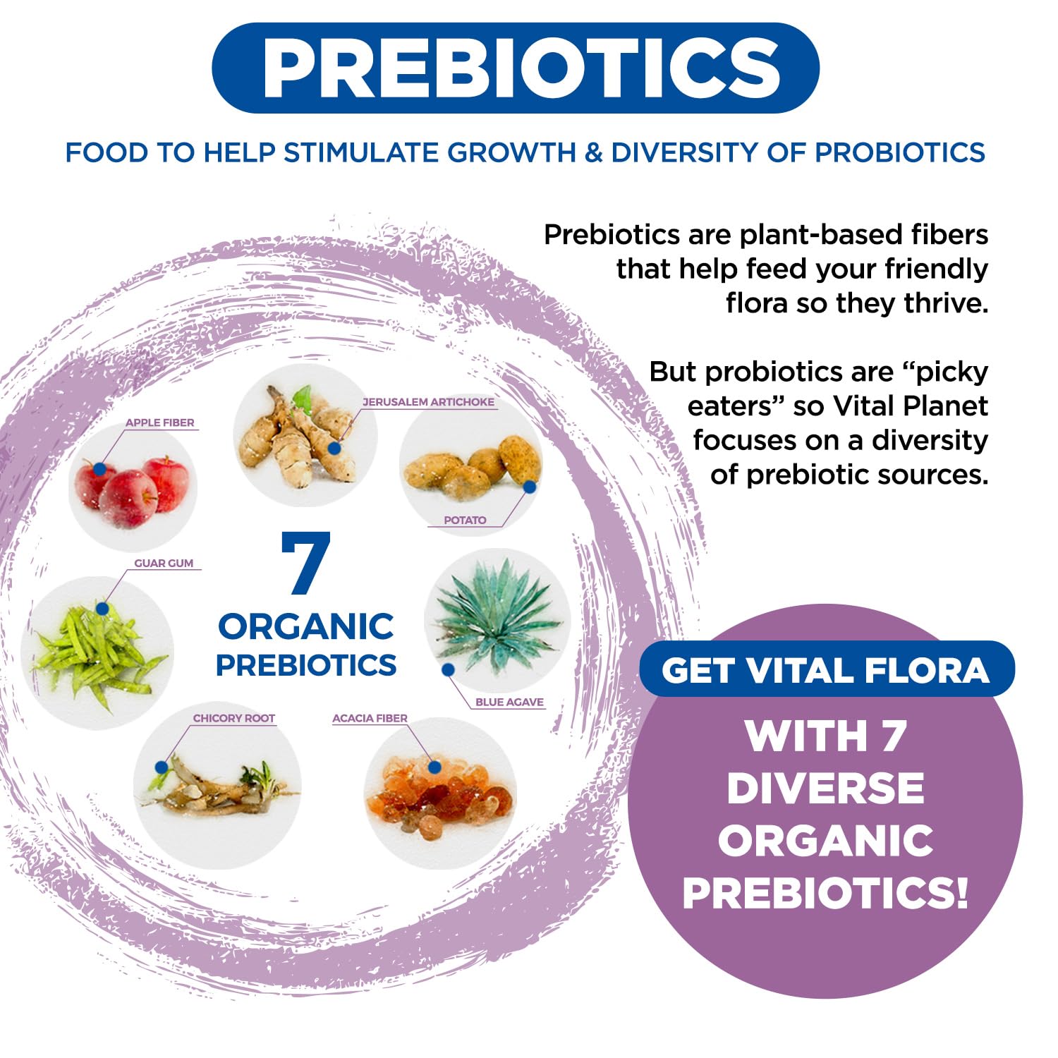 Vegan, dairy-free probiotic supporting digestive comfort and immune health for women.