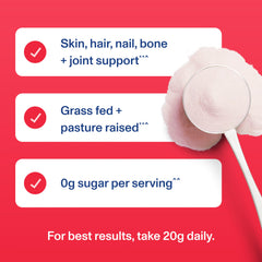 Vital Proteins Ice Pop collagen shaker ready for on-the-go mix.