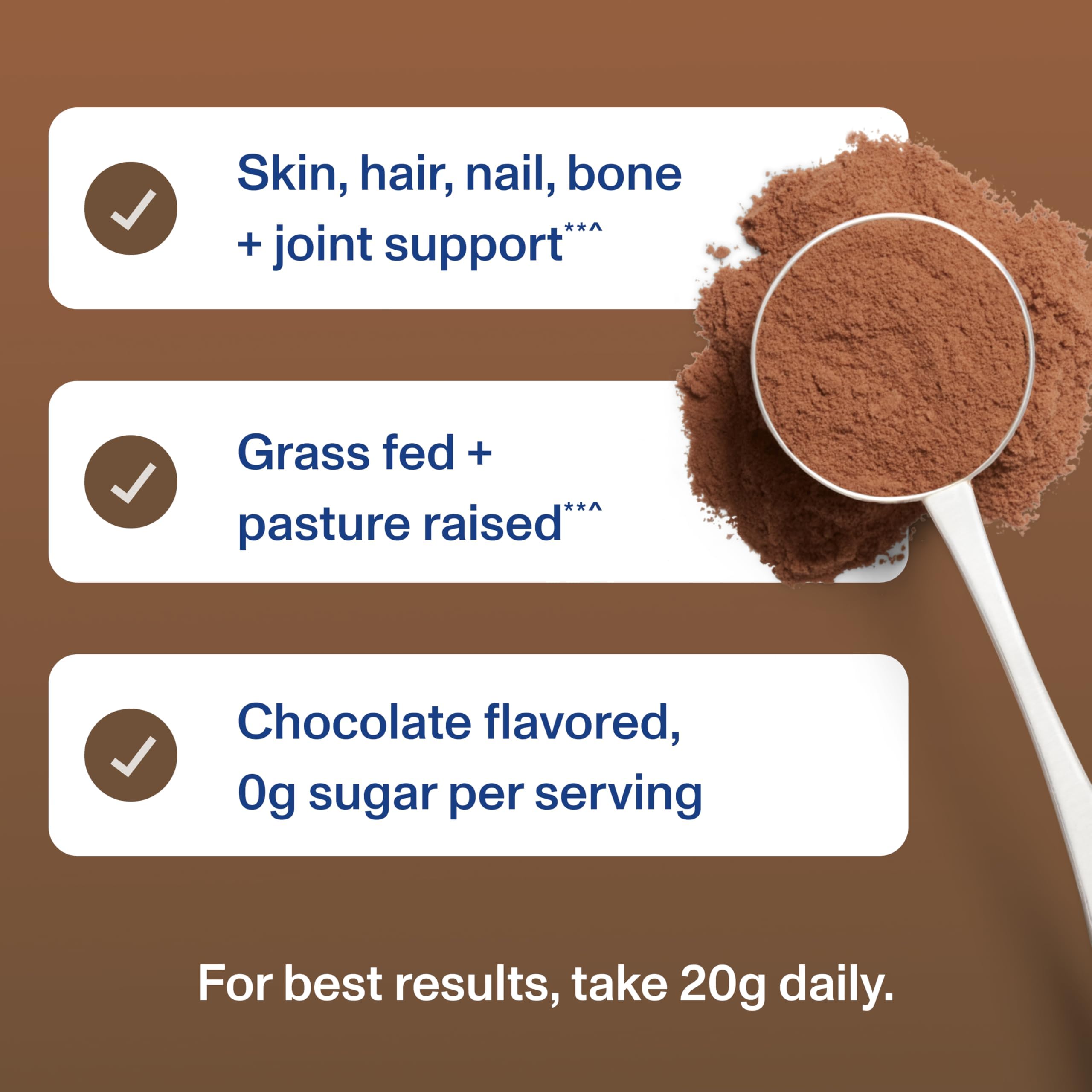 Vital Proteins Collagen Peptides Chocolate powder detail and rich cocoa aroma