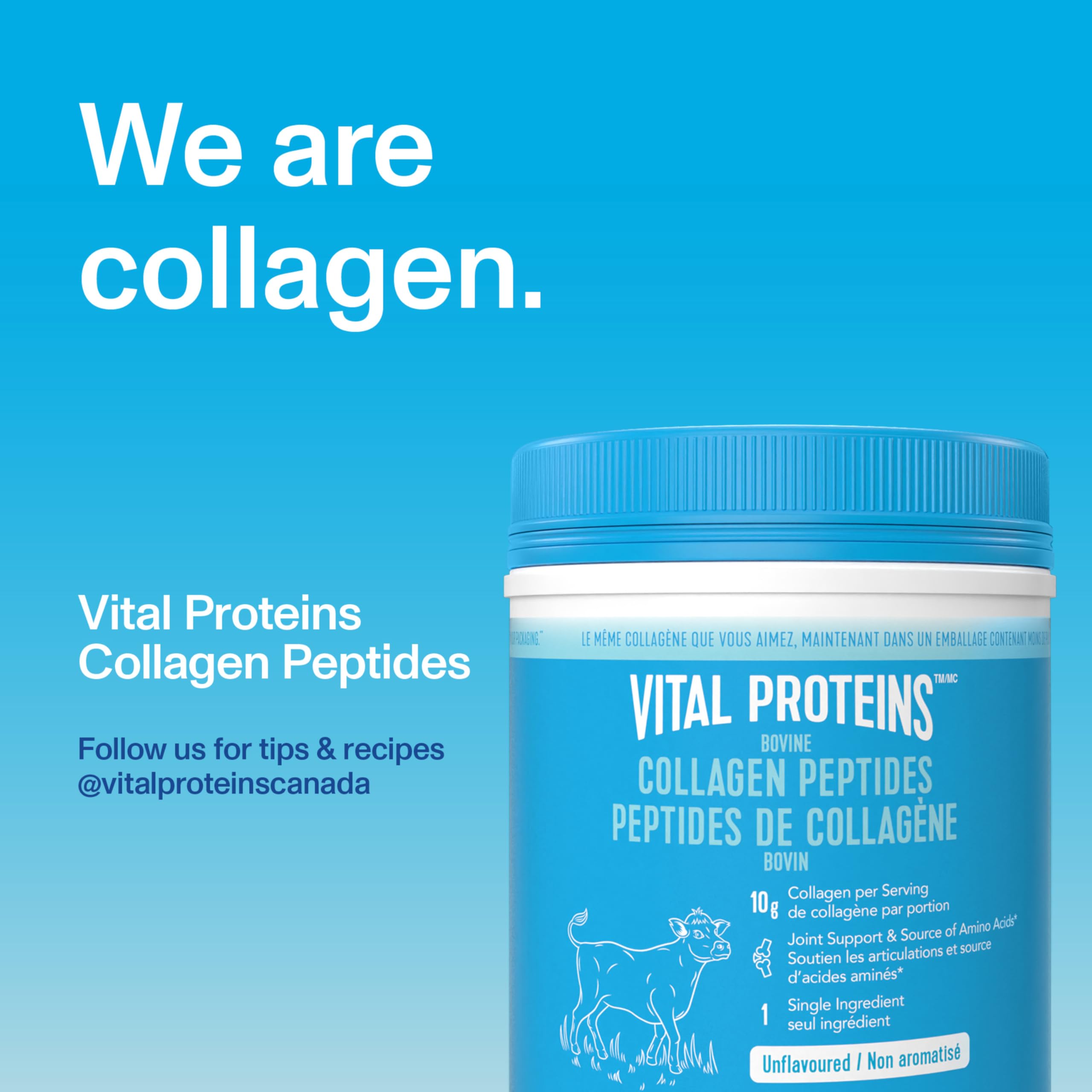 Vital Proteins unflavoured collagen peptides added to a smoothie for subtle body