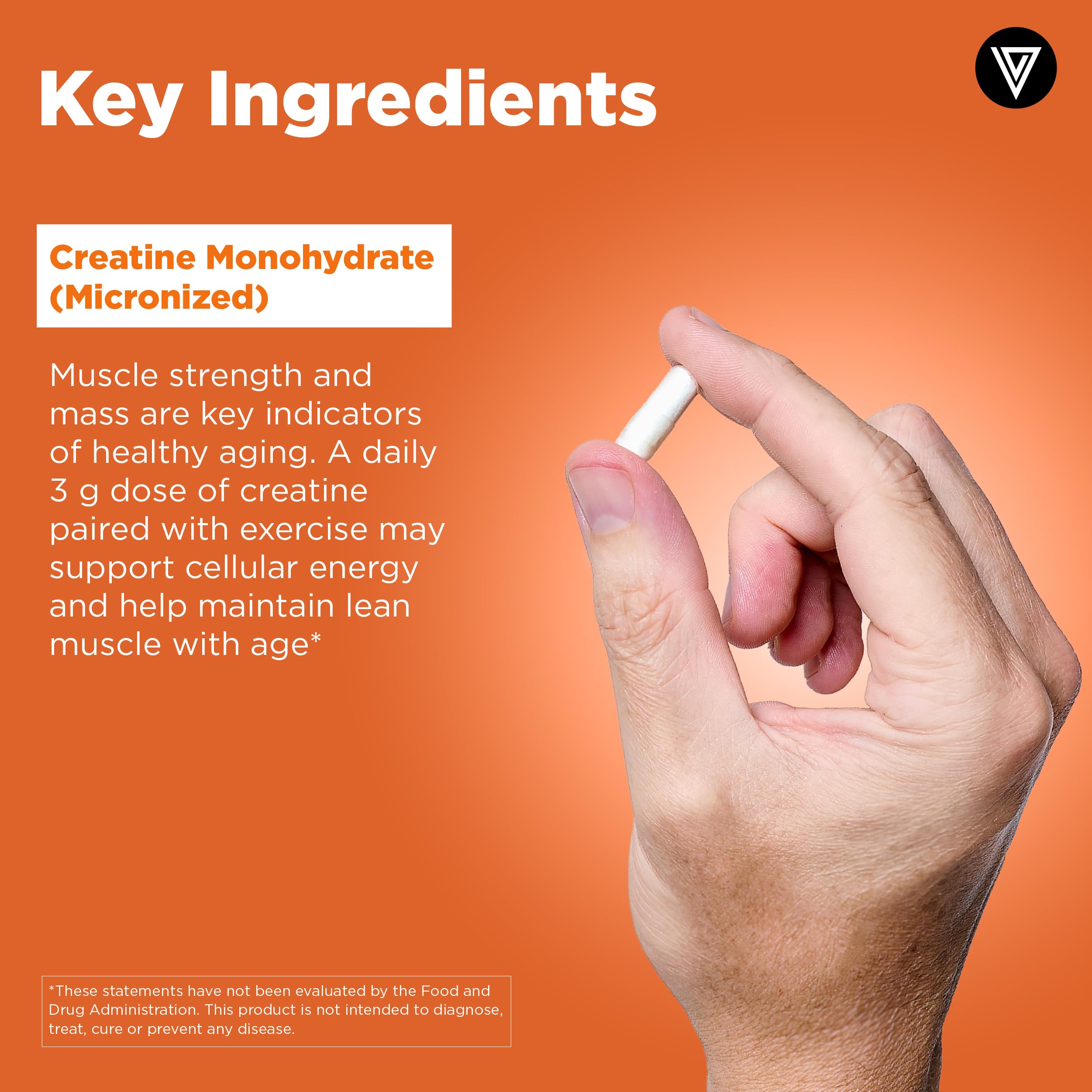 Vital Vitamins creatine capsules in hand for convenient daily dosing