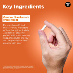Vital Vitamins creatine capsules in hand for convenient daily dosing