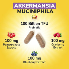 Vitalibre Cranberry extract visual with Akkermansia Probiotics suggesting antioxidant support.