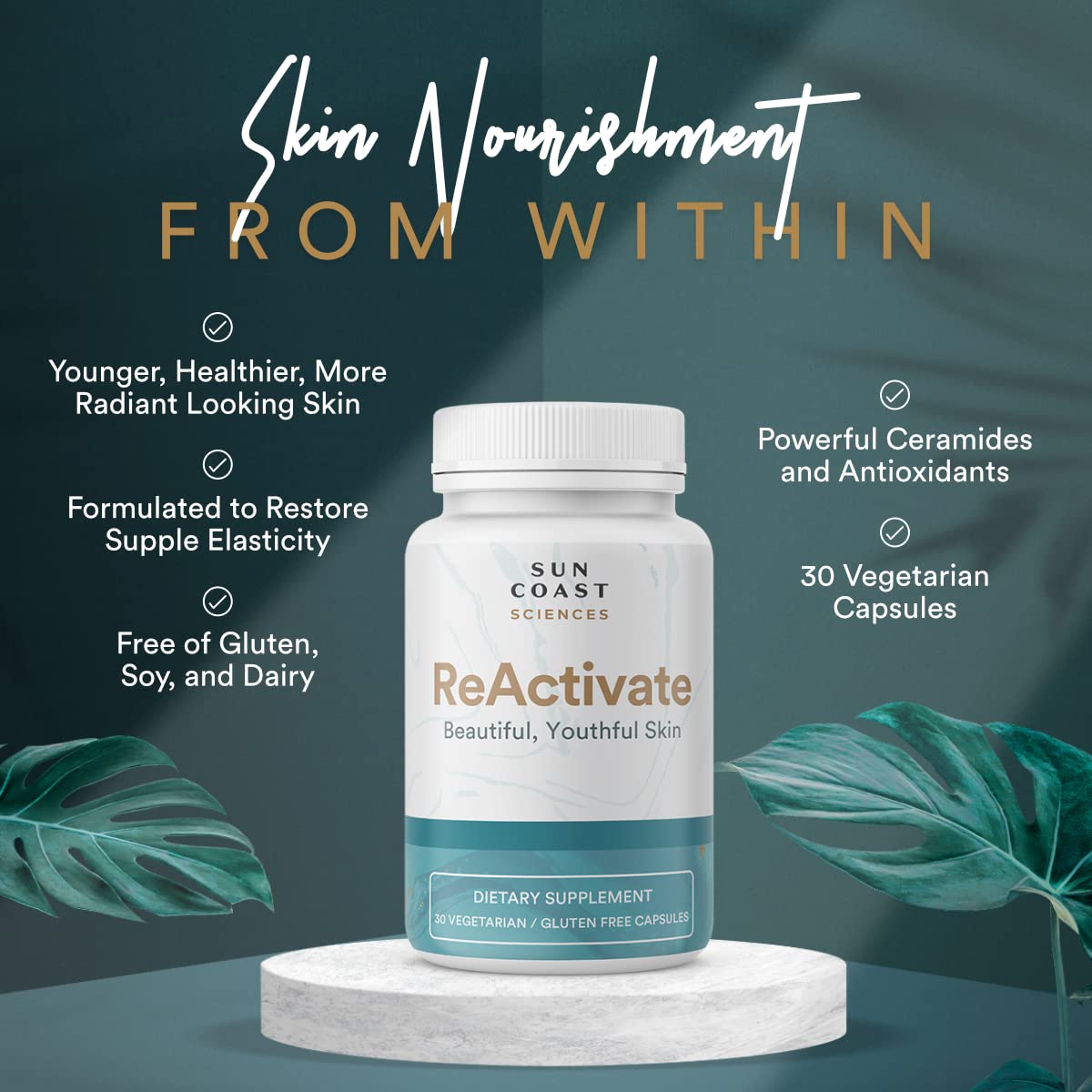 Vitalifi ReActivate ceramosides visual highlights skin elastin and collagen-friendly ingredients.