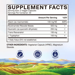 Vitalitown NAD+ label closeup underscores NR and antioxidant blend for cellular vitality