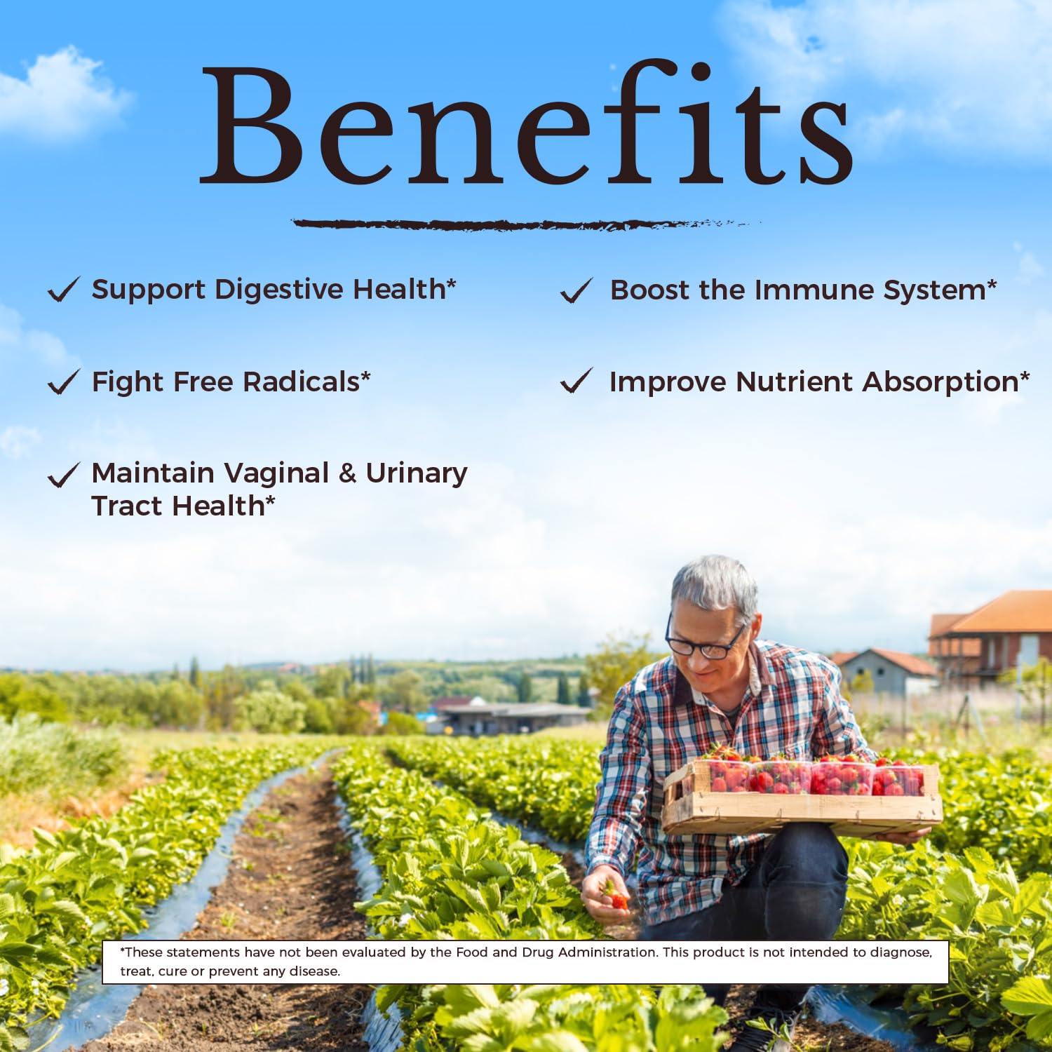 Vitalitown digestive enzymes and prebiotics close-up for digestion