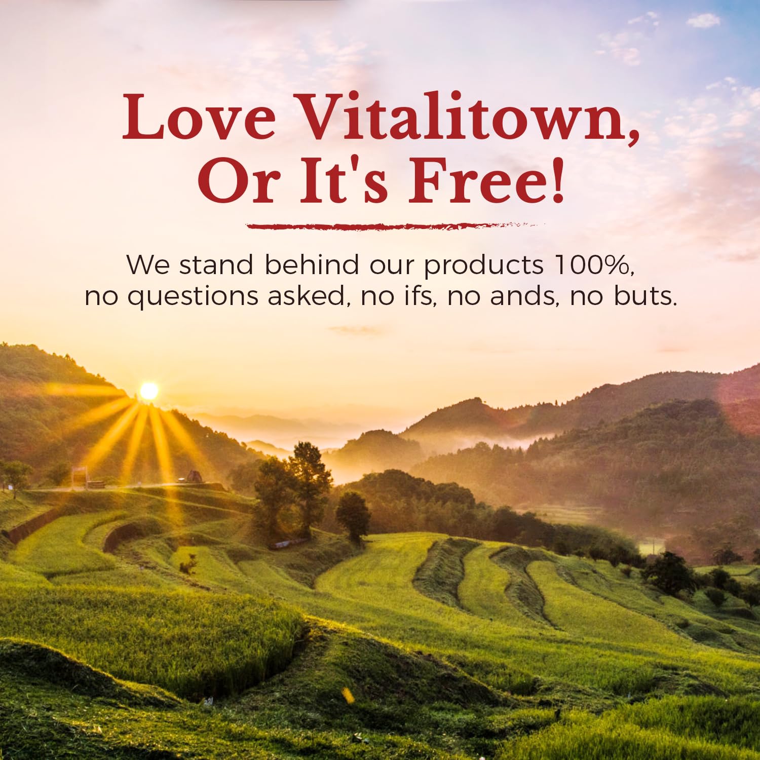 Vitalitown Magnesium Complex packaging seal conveys trusted quality.