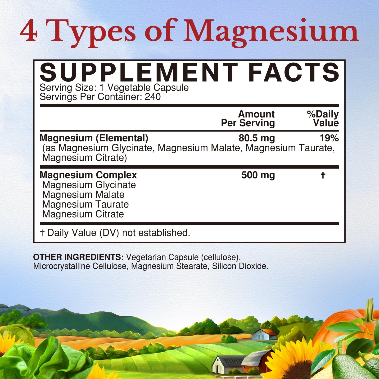Vitalitown Magnesium Complex on a kitchen counter illustrating daily wellness routine
