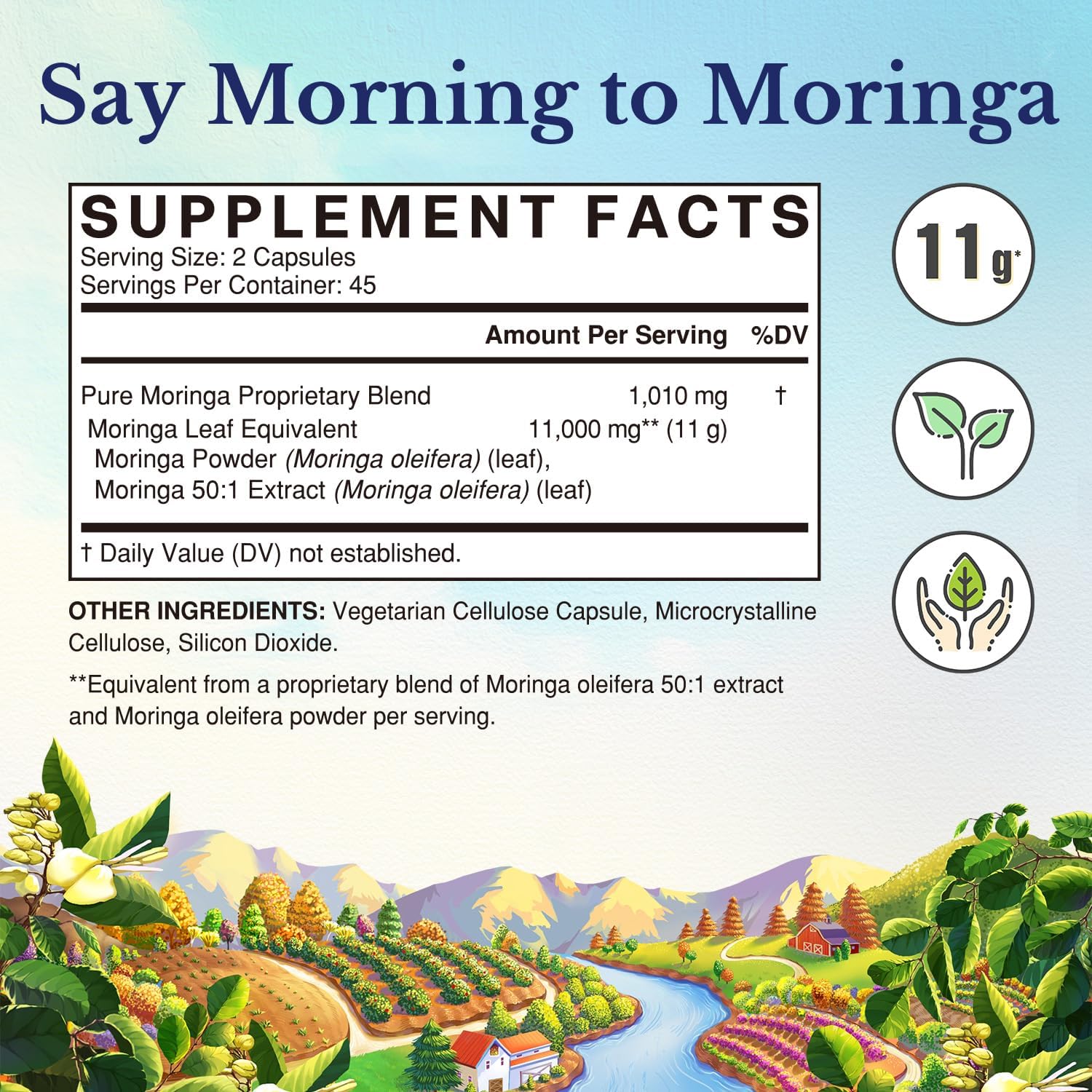 Vitalitown Moringa capsules close-up highlights pure leaves and clean formulation for daily nutrition.