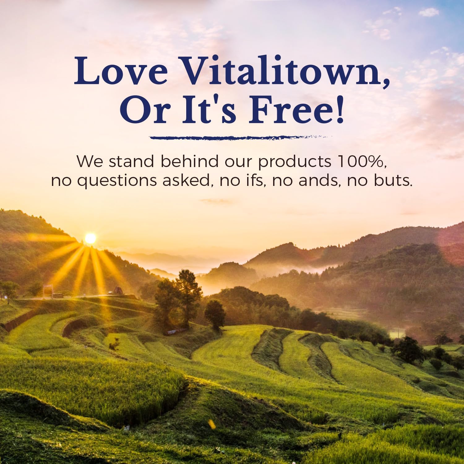 Vitalitown Moringa capsules designed for daily use with no artificial fillers.