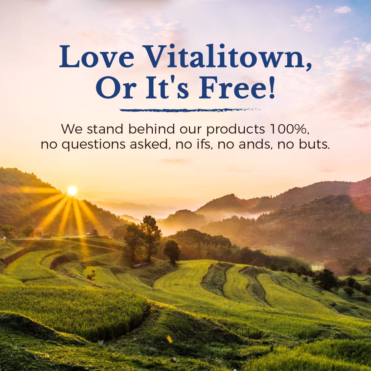 Vitalitown Probiotics capsules with vegan certification enhance dietary flexibility.
