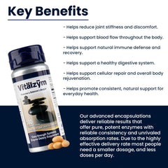 Vitalzym graphic focused on immune support and overall wellness.