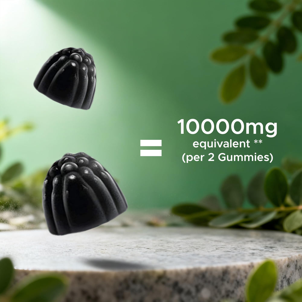 Vitamatic Moringa Gummies two-pack carton illustrates value and convenience