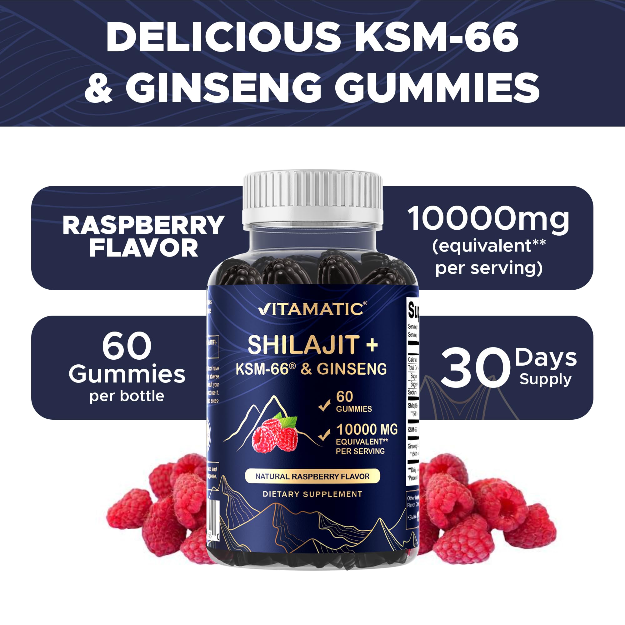 Vitamatic Shilajit gummies pack shot conveys convenient daily supplementation