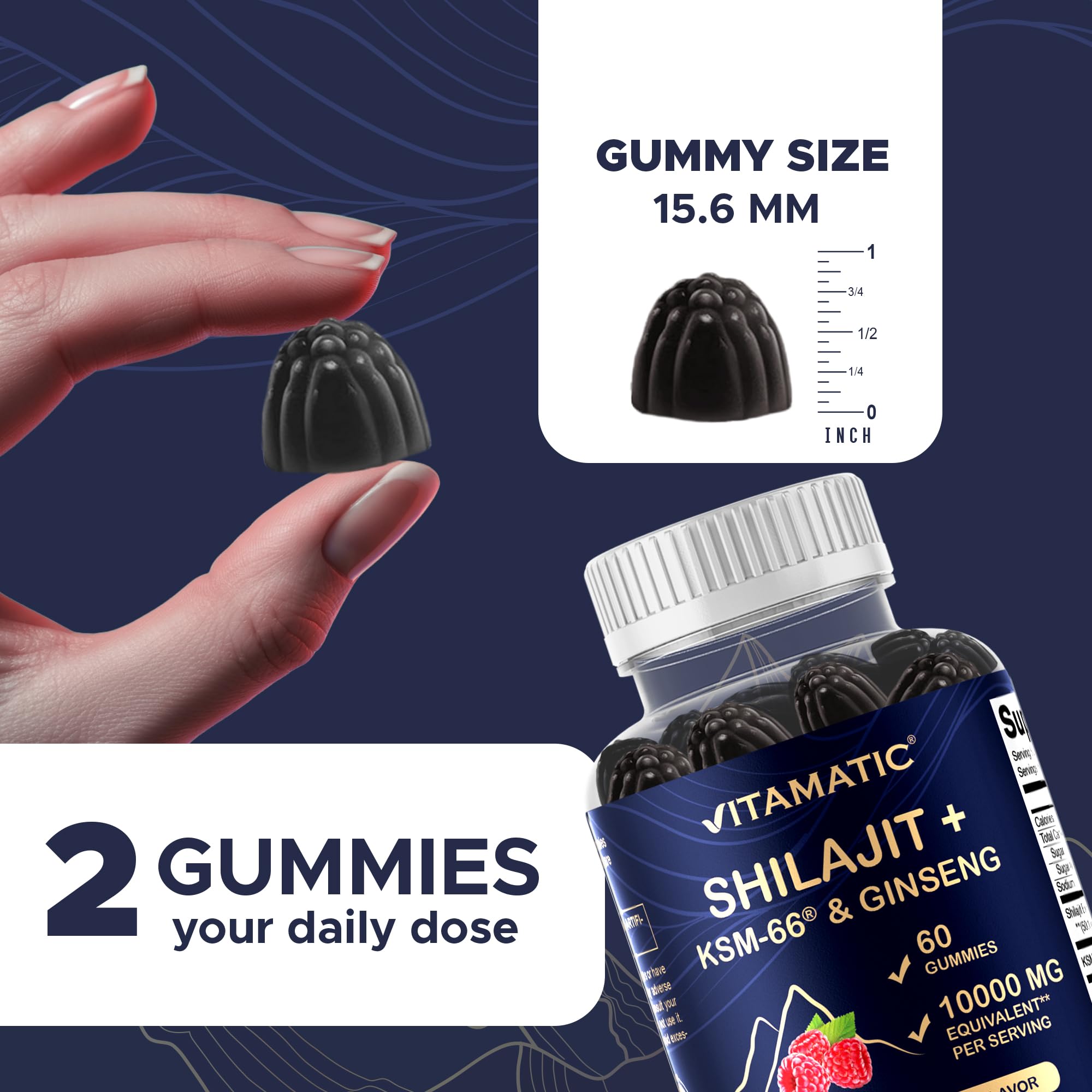 Vitamatic Shilajit label detail highlights 10,000 mg equivalent and 50:1 extract