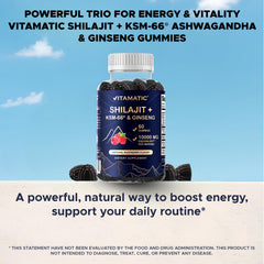 Vitamatic Shilajit raspberry flavor illustration suggests sugar-free enjoyment