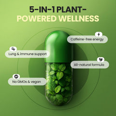 Vitamax 5-in-1 formula ingredients arranged in a sleek label.
