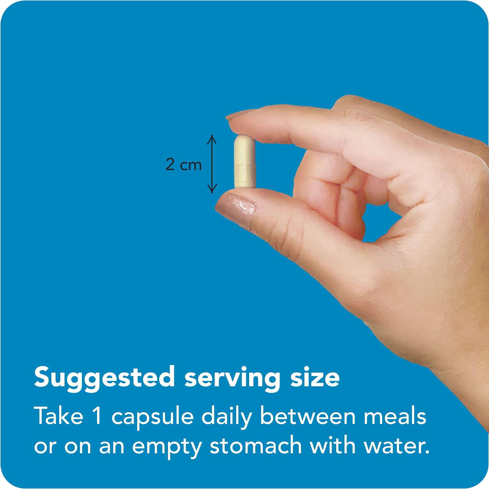 Vitamin Bounty Pro-Daily allergen free USA made label.
