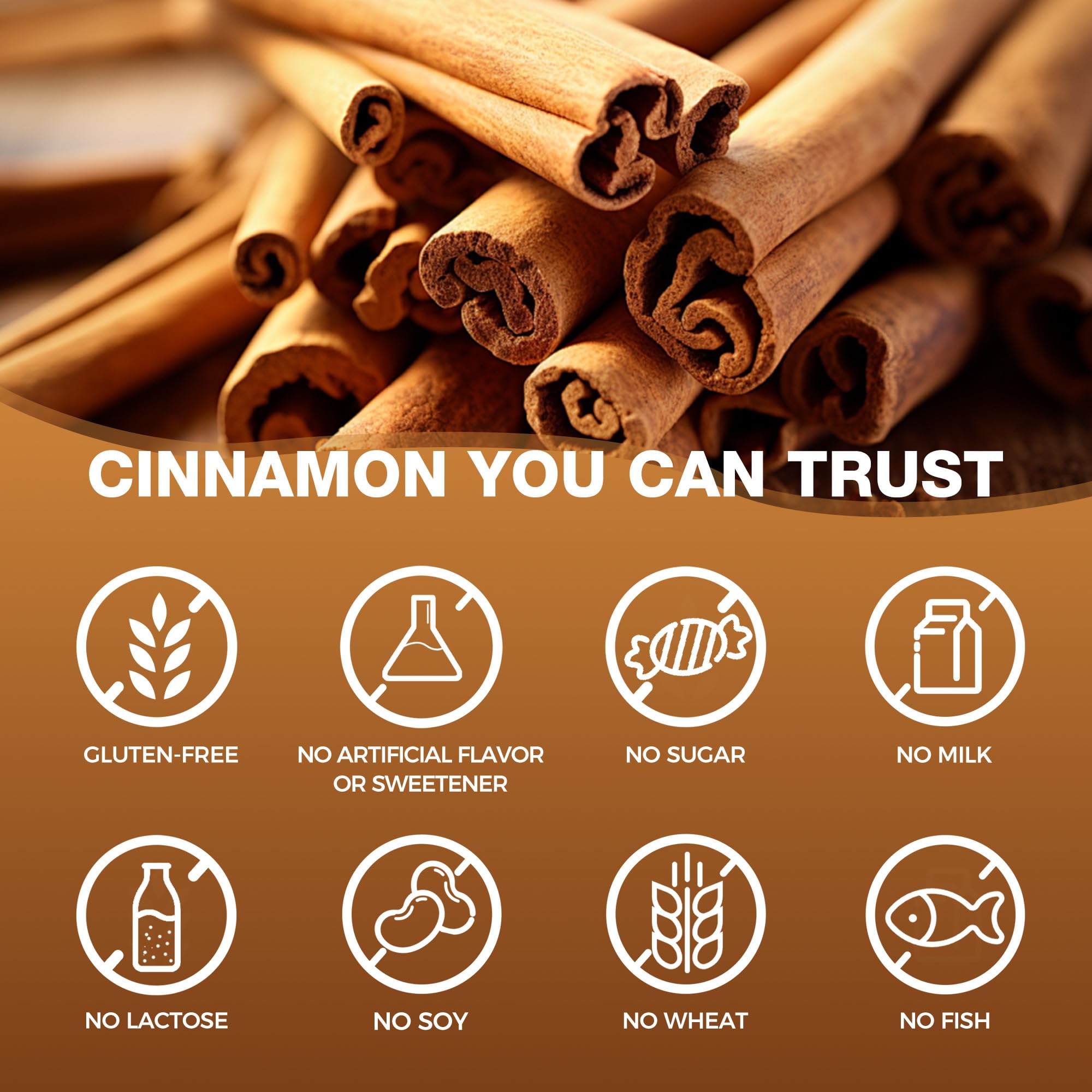 Vitamin World Cinnamon Complex packaging hero showcasing trusted supplement standards.