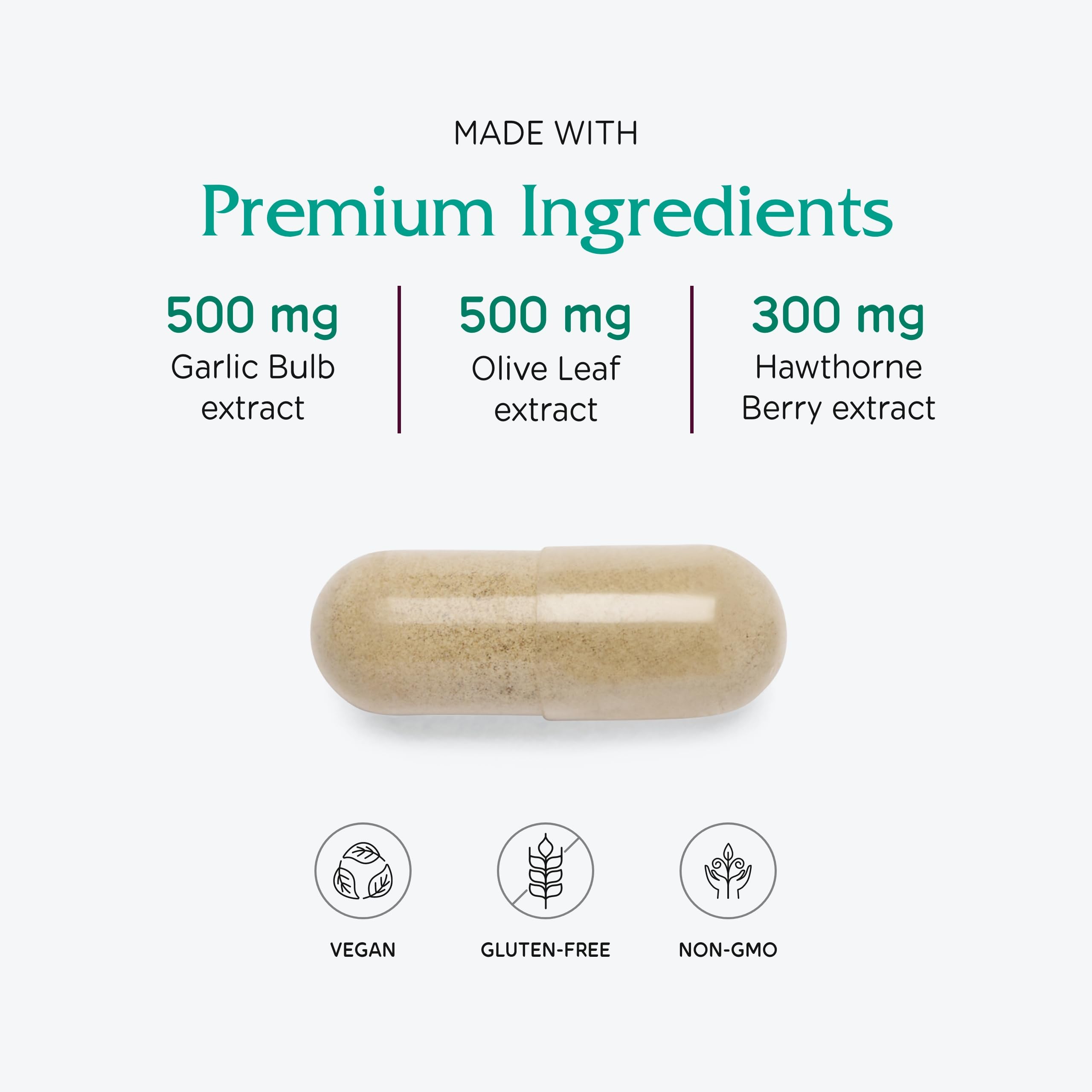 Vitanica VasoBlend ingredient list emphasizes magnesium, CoQ10, and terminalia arjuna benefits
