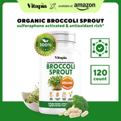 Vitapia broccoli sprout powder closeup showing natural texture for antioxidants.