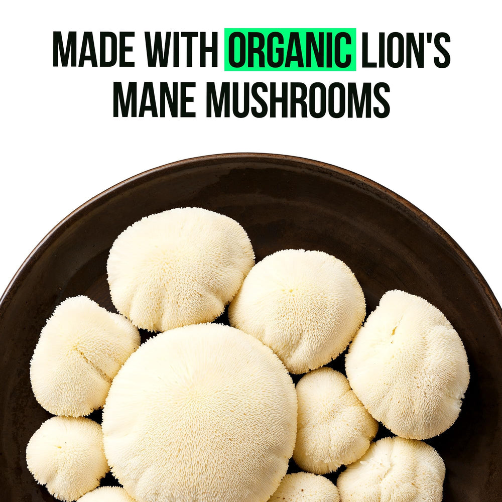 VitaRaw Organic Lions Mane powder extract image showing pure mushroom source for cognitive wellness