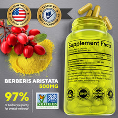 VitaUp Berberine 500mg capsule closeup supports energy management.