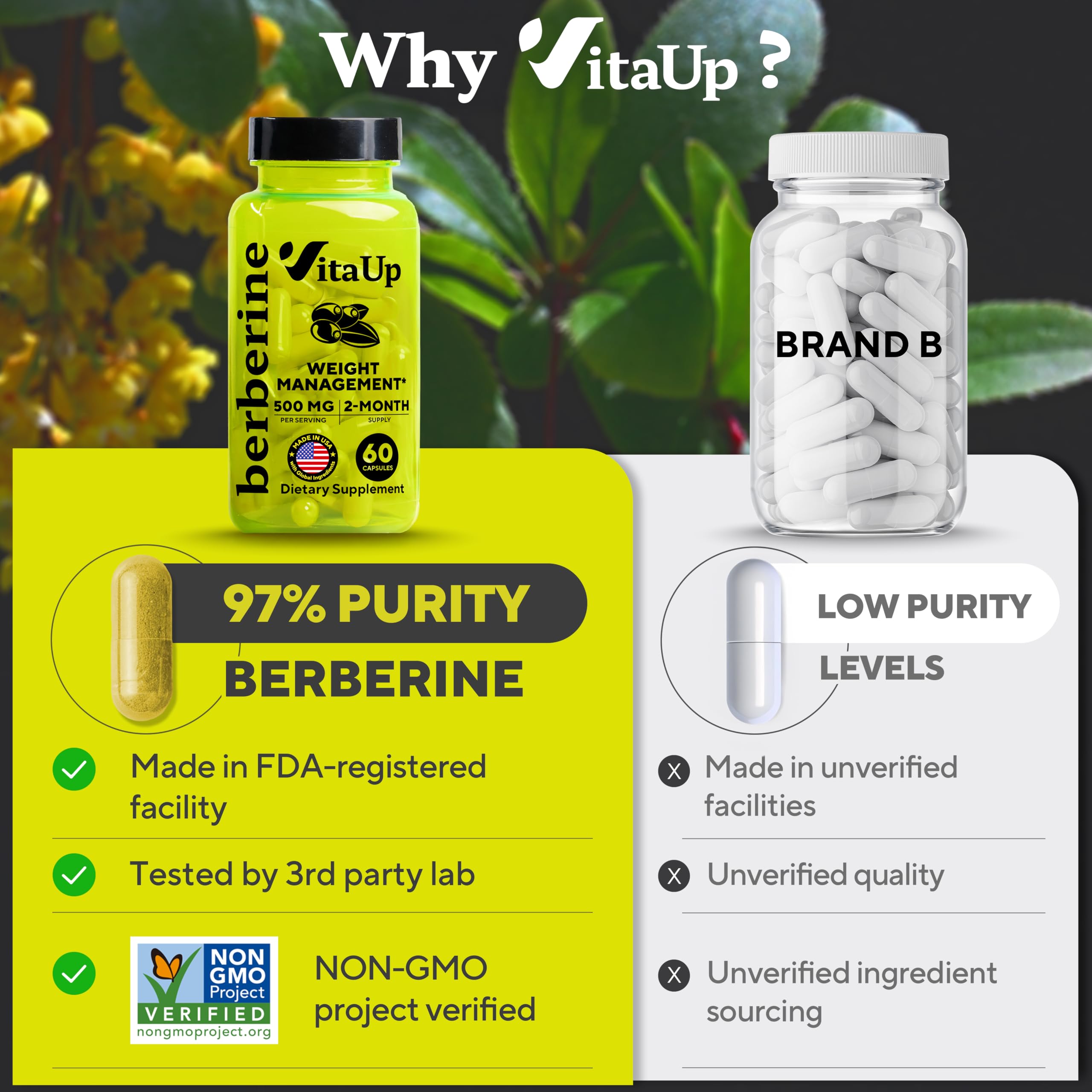 VitaUp Berberine 500mg daily-use bottle showcases convenient wellness.