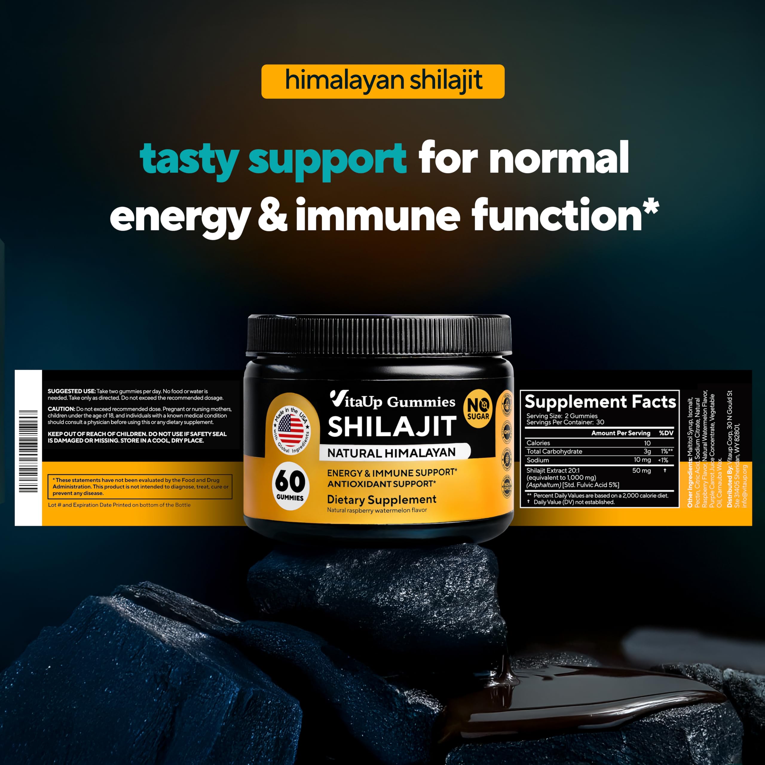 VitaUp Himalayan Shilajit Gummies canister with serving directions for daily use.