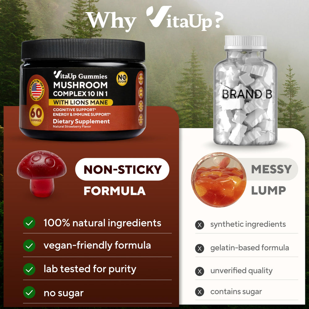 Close-up of mushroom blend ingredients hints at wellness benefits