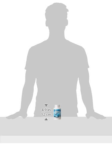 VITÄLZYM Dietary supplement bottle closeup emphasizes compact, travel-friendly packaging for on-the-go use.