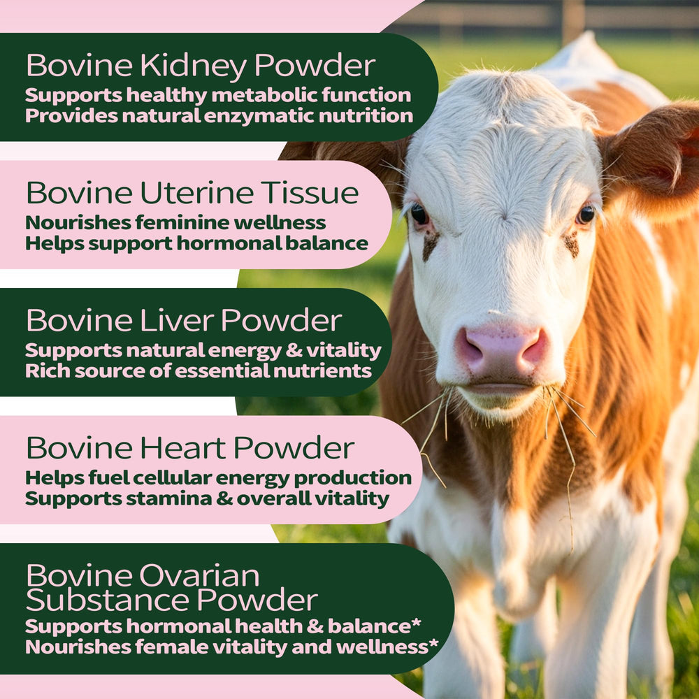 VitaLumina Primal Beef Organs grass-fed source highlighting pasture-raised organs