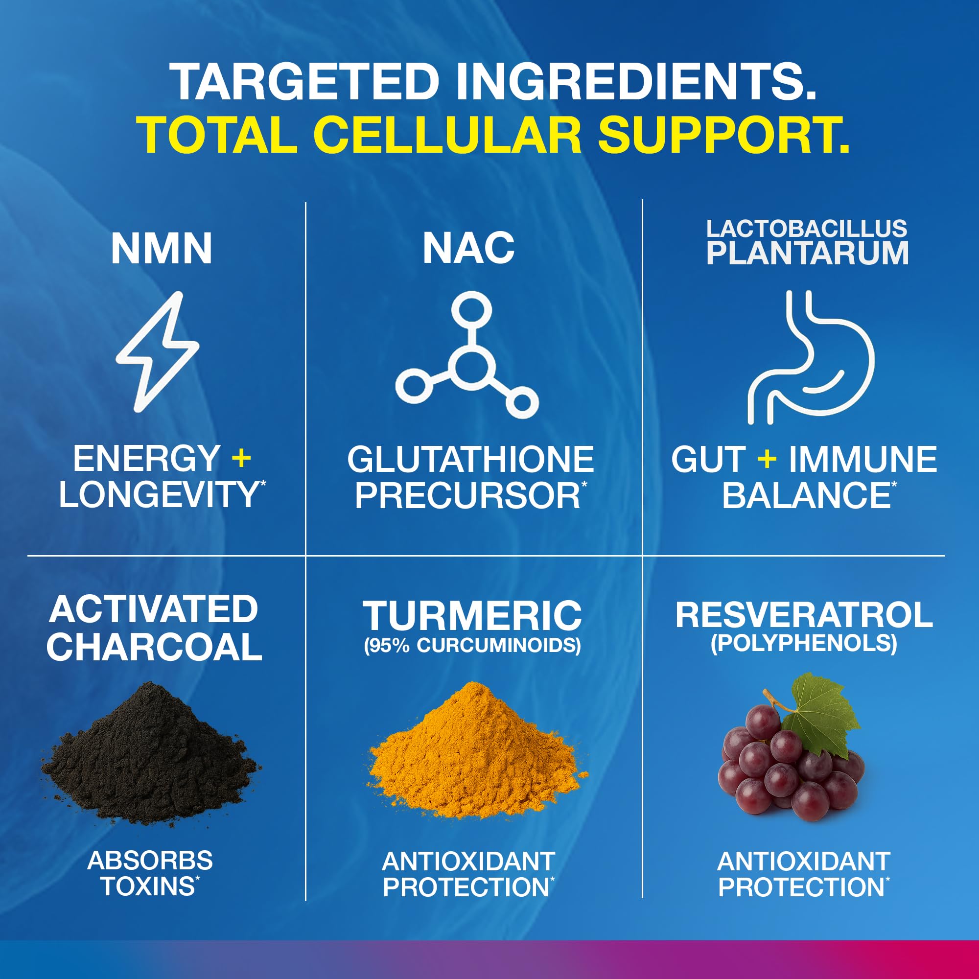 Vitology MP-PRO NMN and resveratrol ingredients close-up