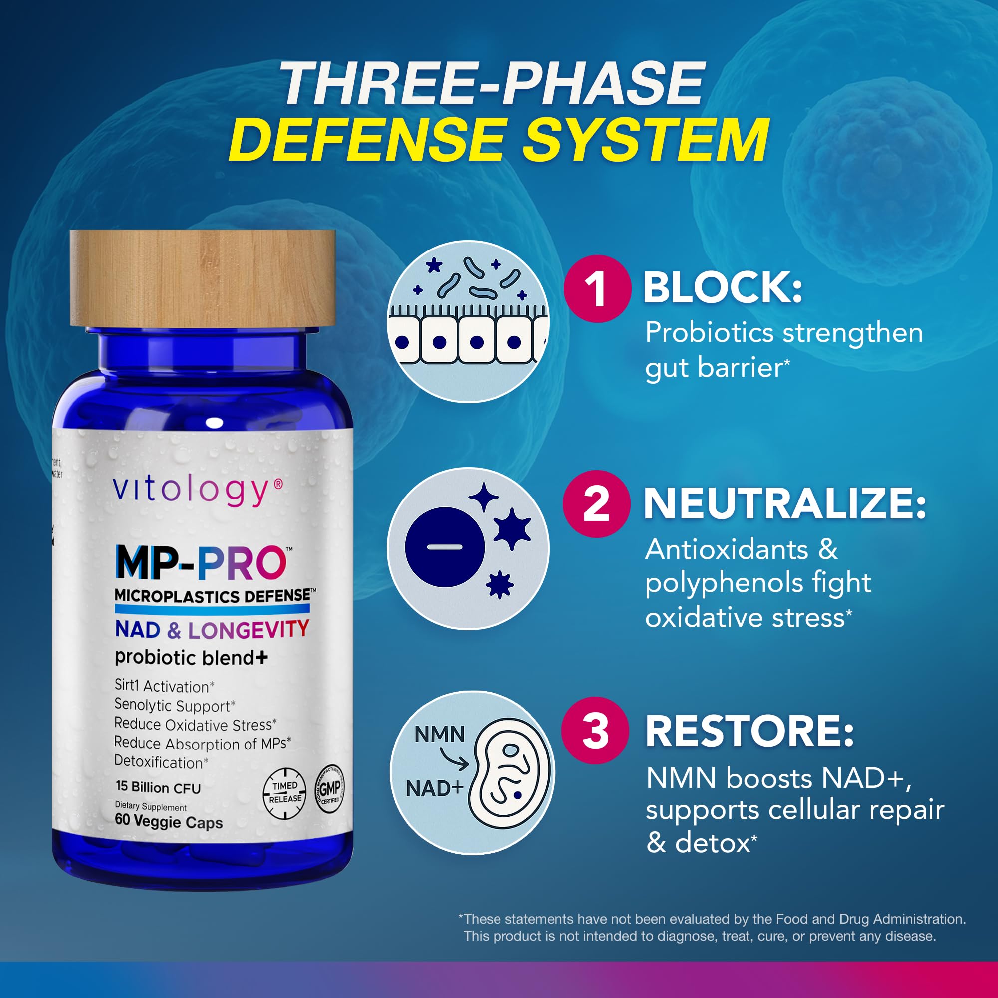 Vitology MP-PRO probiotic blend close view for gut health
