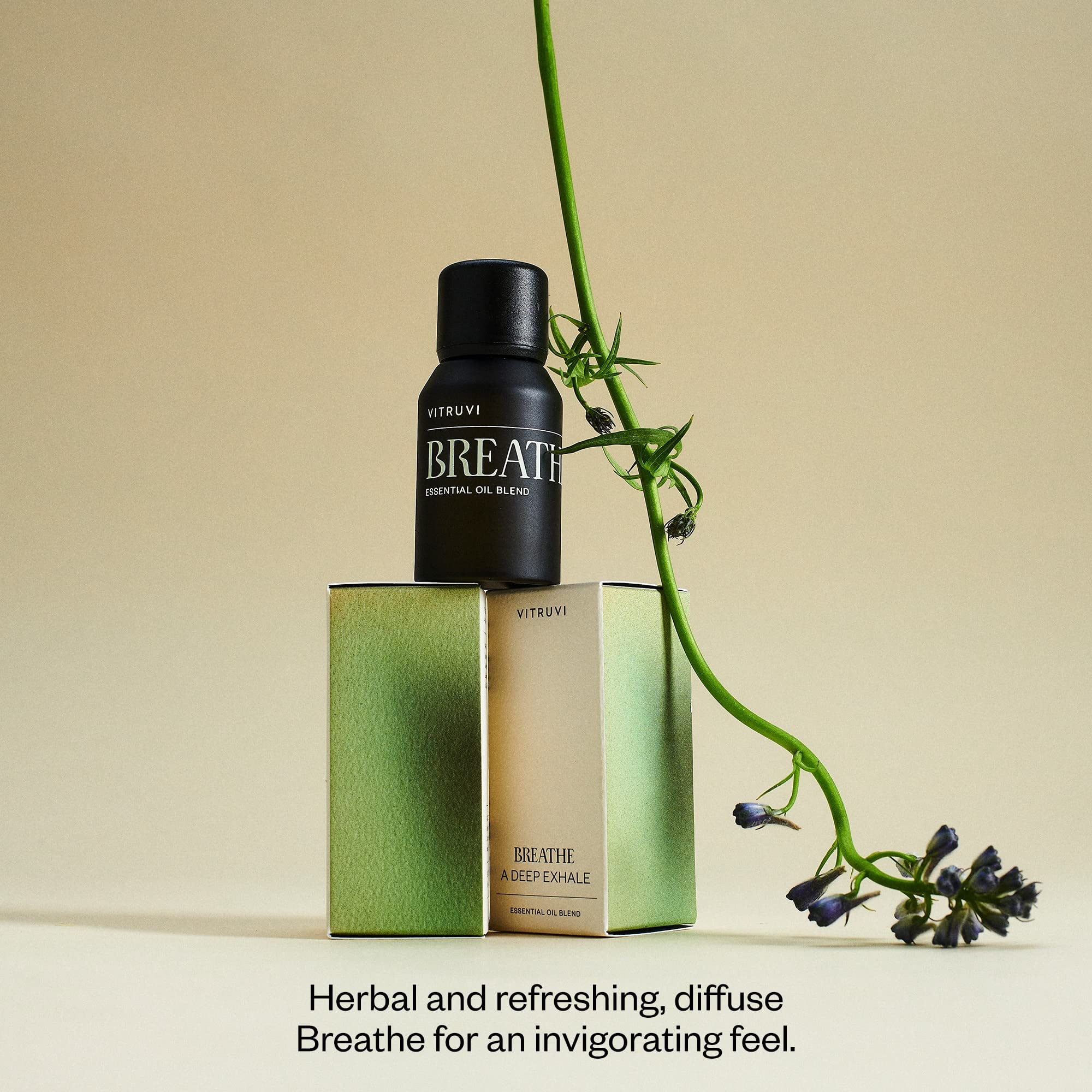 Vitruvi Breathe diffuser scene suggesting refreshing aroma in room.