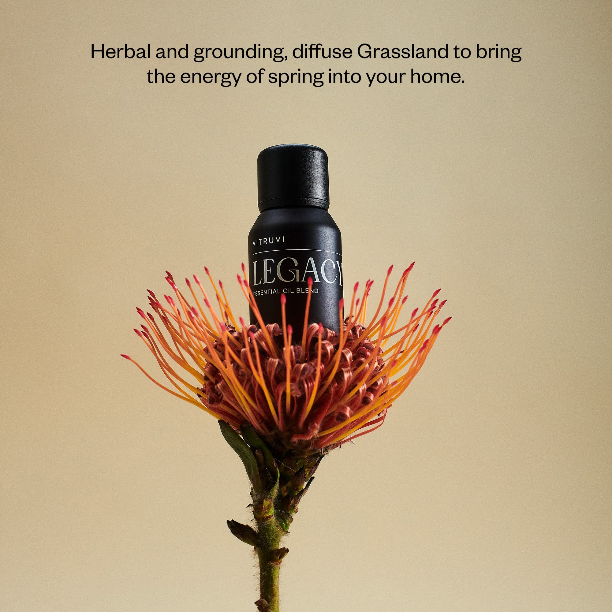 Vitruvi Legacy Woodsy matte black bottle protecting oils from UV.