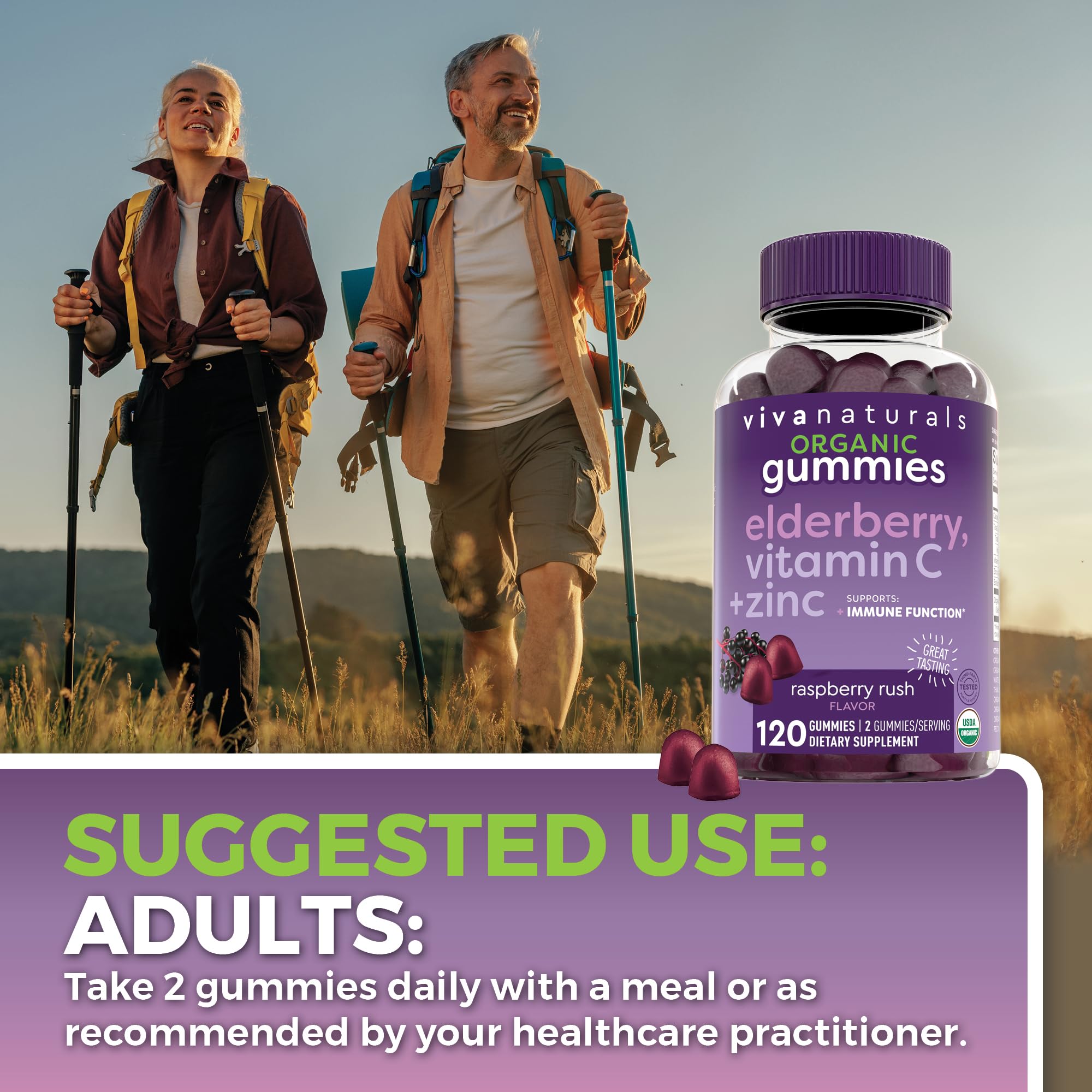 Label shows 120 gummies for a two-month supply from Viva Naturals.