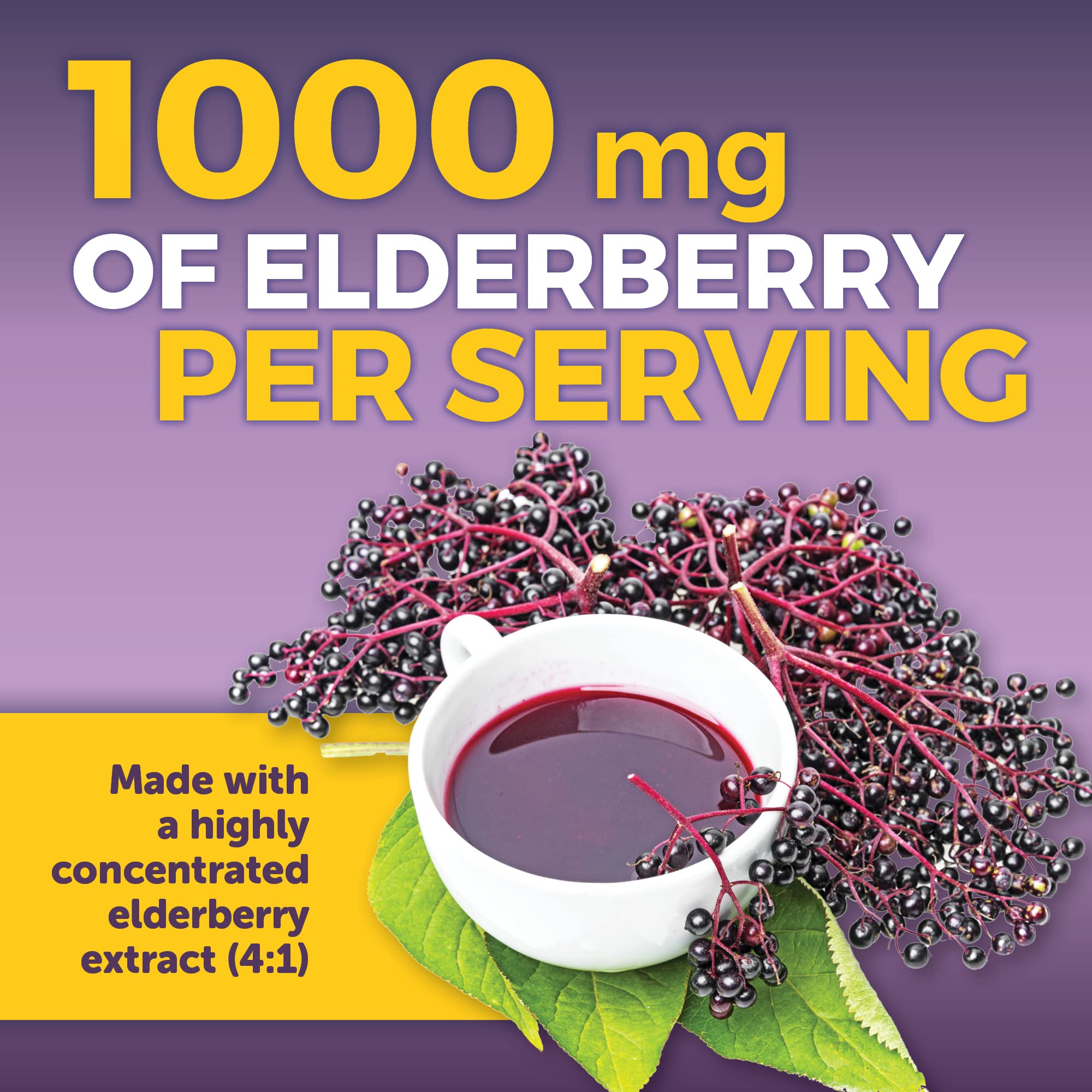 Viva Naturals elderberry extract per serving, potent immune-aligned profile.