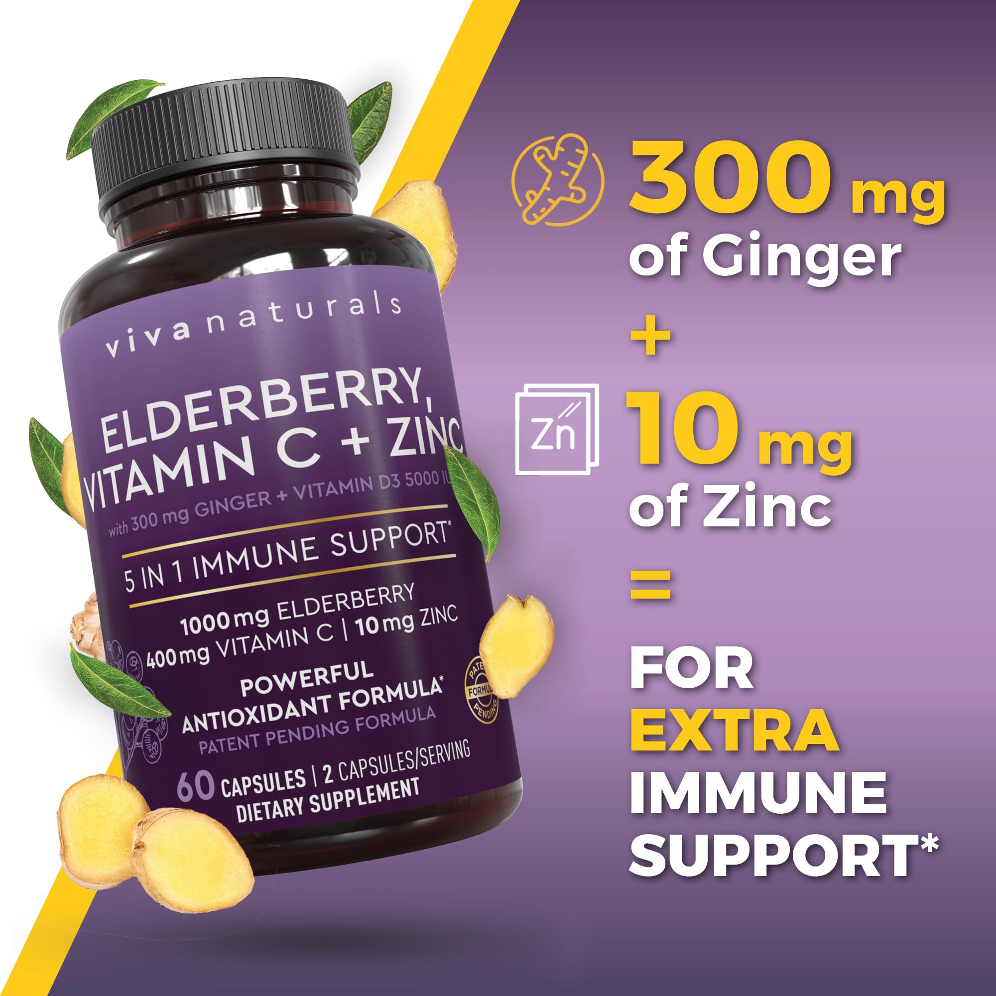 Viva Naturals Ginger extract capsules – antioxidant support