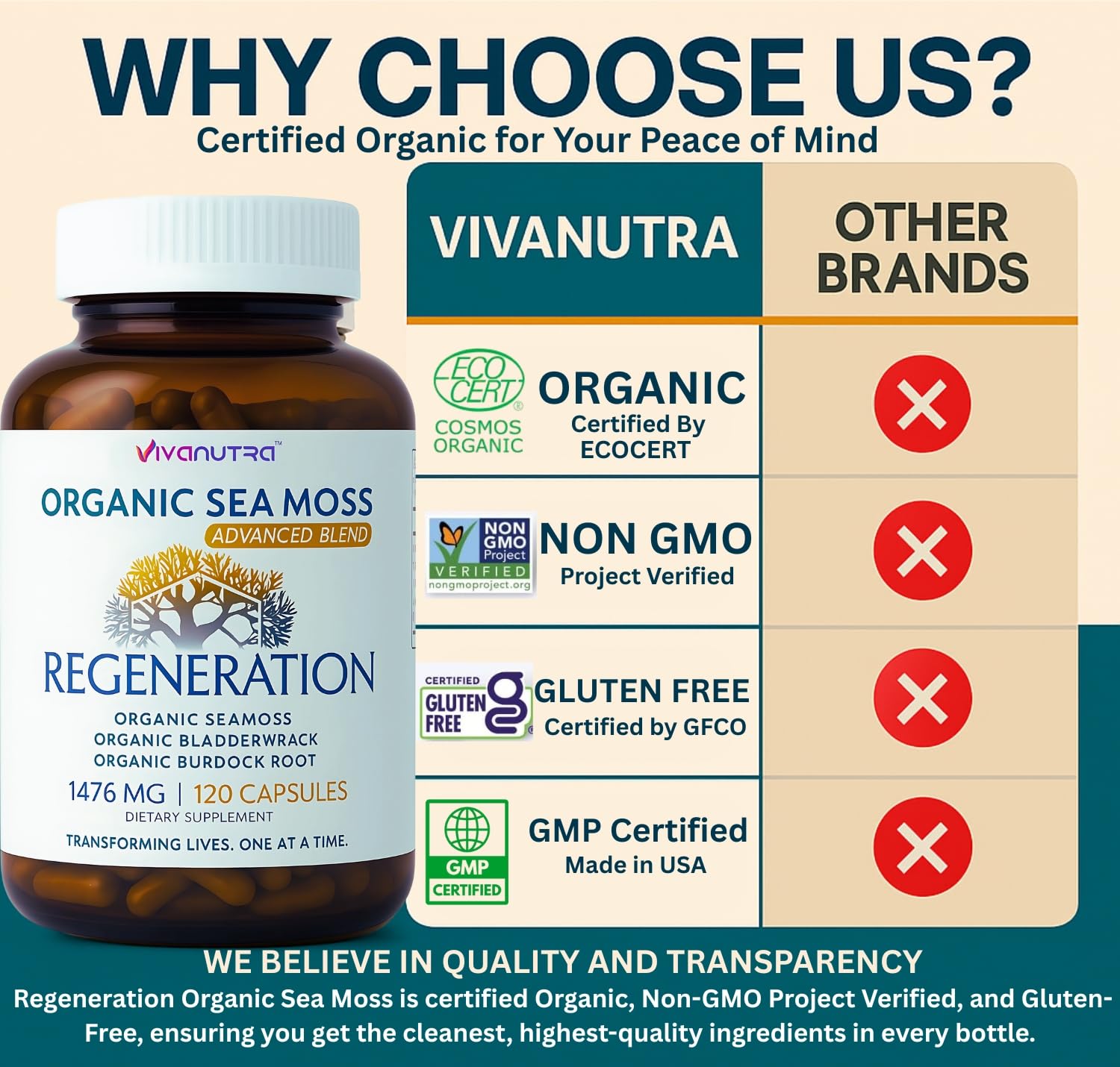 Vivanutra capsules in hand suggesting easy daily supplementation.