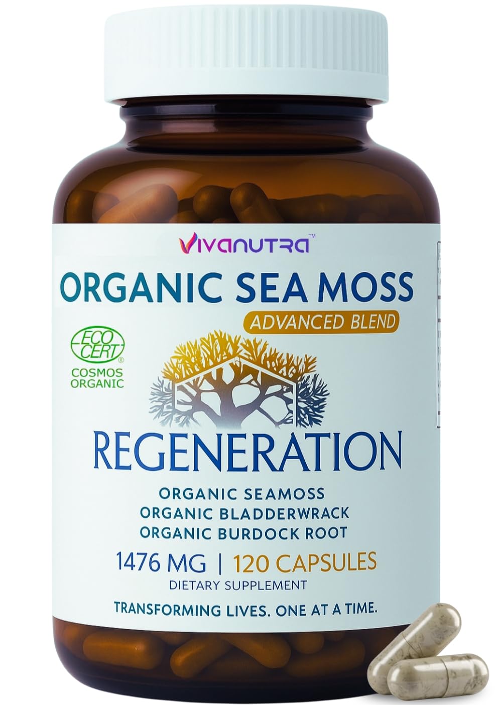 Vivanutra sea moss capsules bottle for daily vitality support.