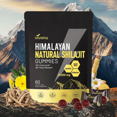 VivoNu Himalayan Shilajit gummies bottle highlighting Himalayan origin and daily energy support
