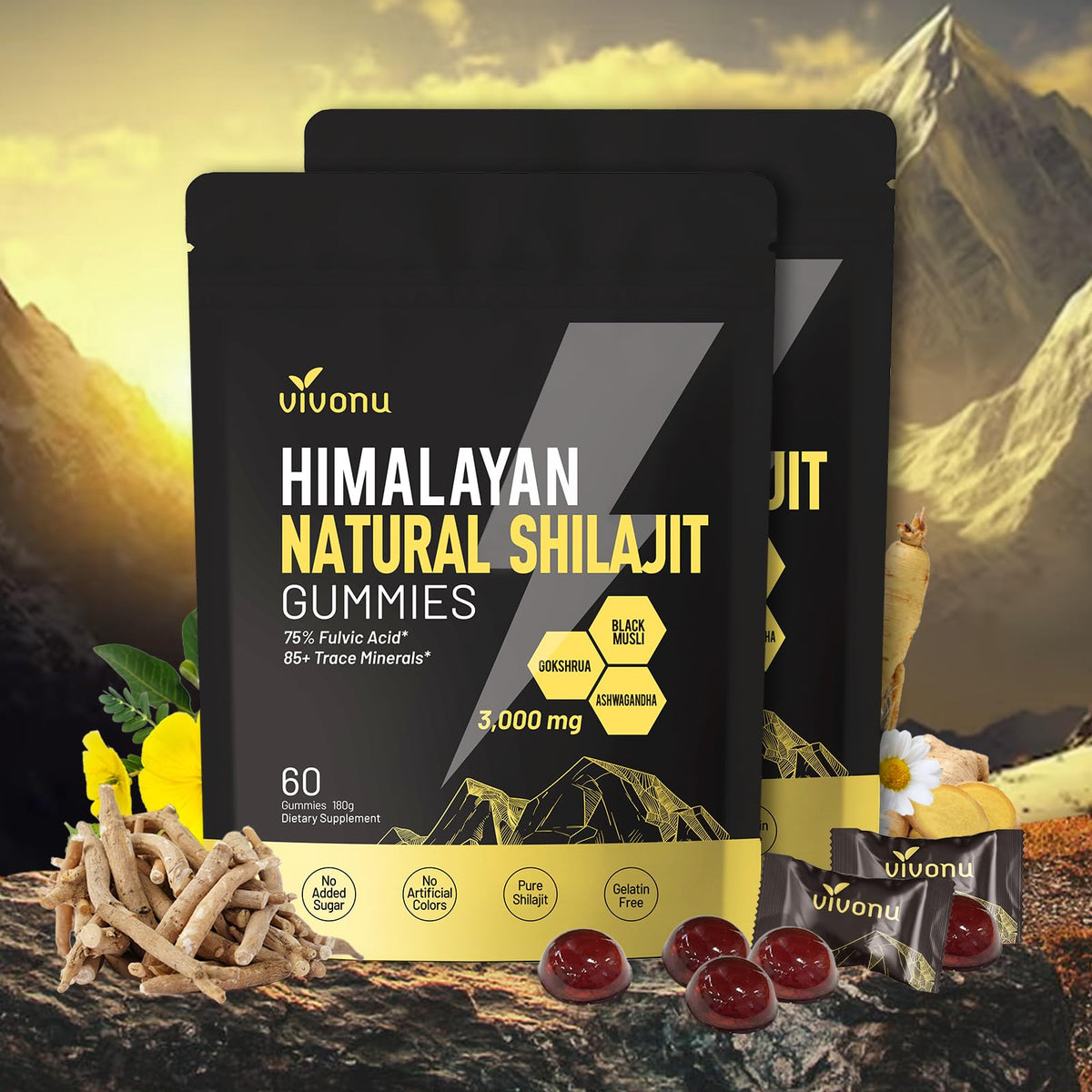 VivoNu Pure Himalayan Shilajit Gummies bottle for daily vitality and wellness.