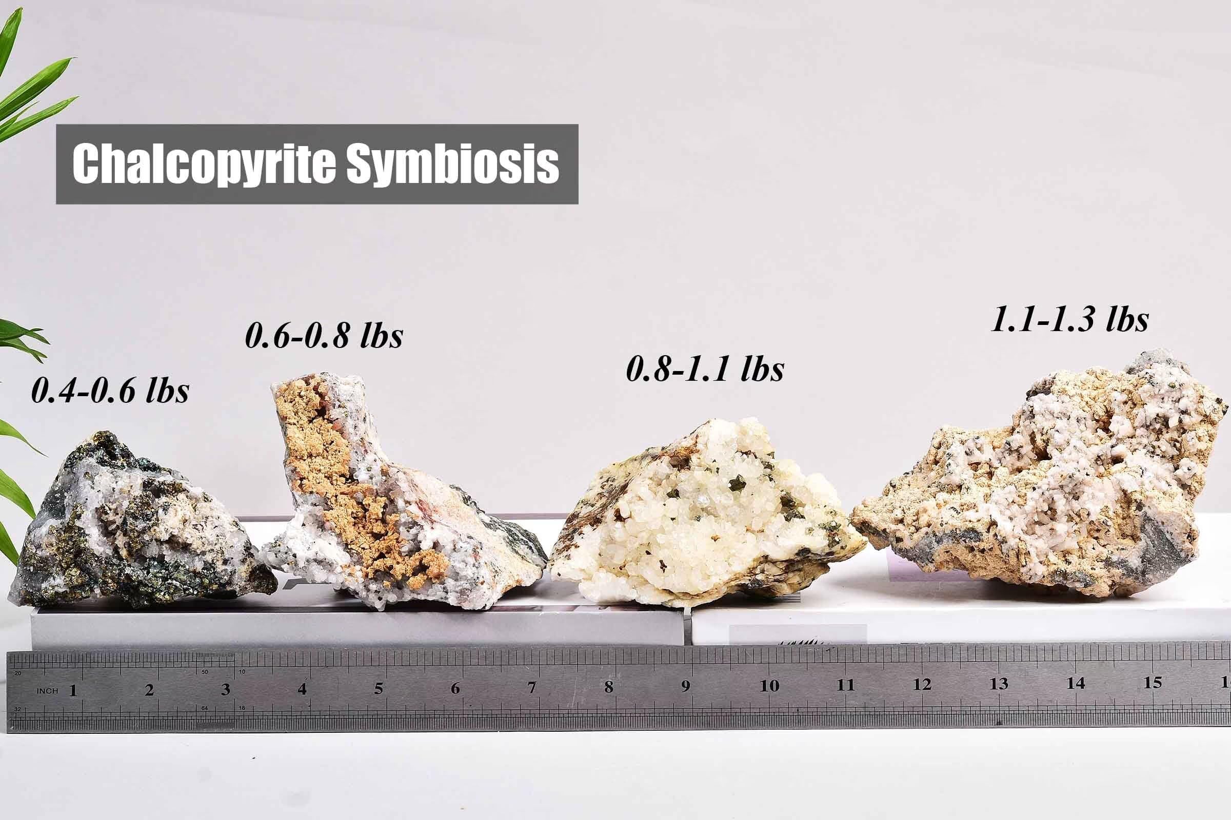 Vizytou white quartz detail ideal for collection and home display