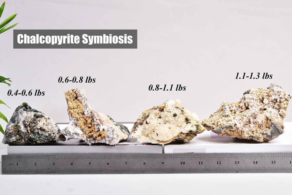Vizytou white quartz detail ideal for collection and home display