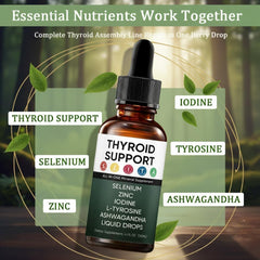 Vlsdoin Kindled Thyroid Support Drops packaging emphasizes non-GMO and vegetarian-friendly formulation