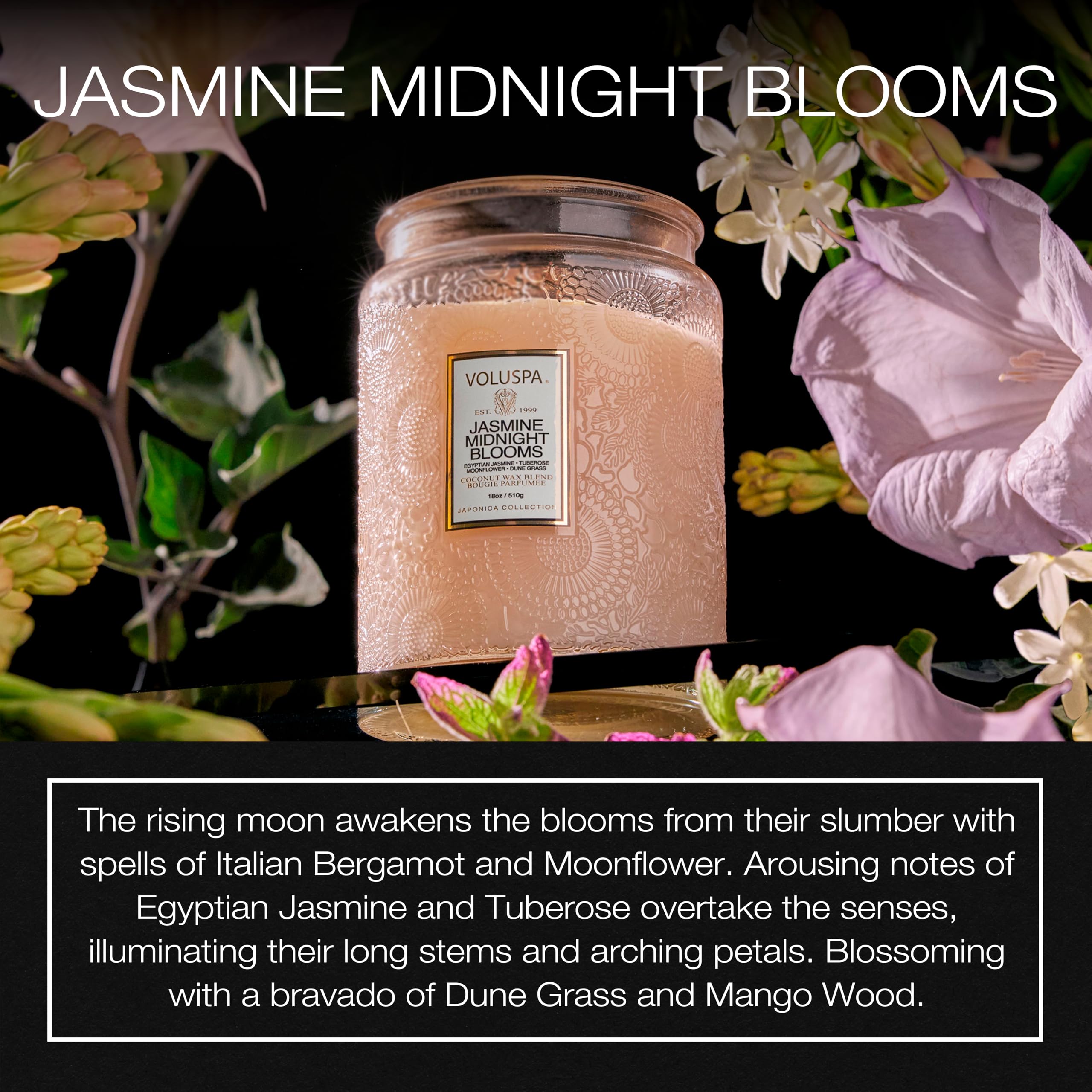 Voluspa Japonica Jasmine Midnight Blooms close-up wax detail with luxurious feel at home