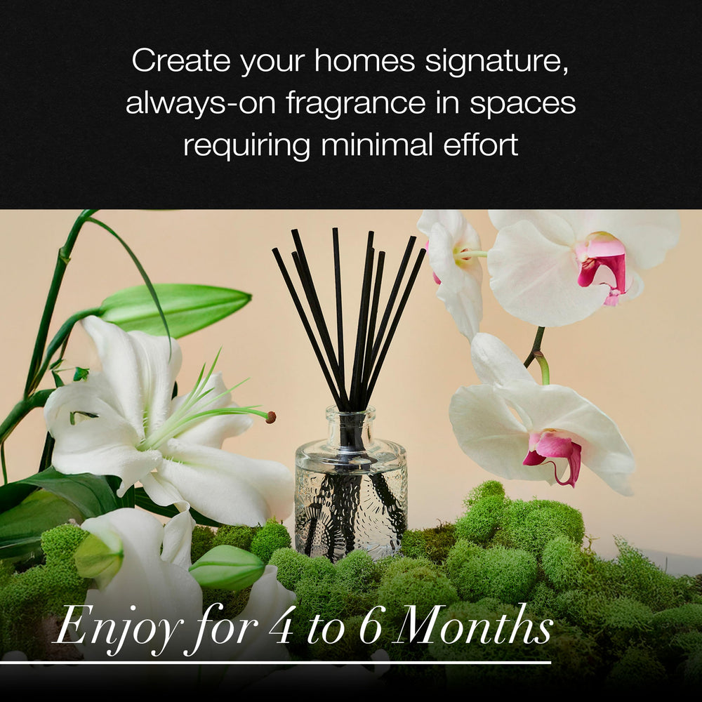 Gift-ready Mokara diffuser adds a fragrant touch to celebrations